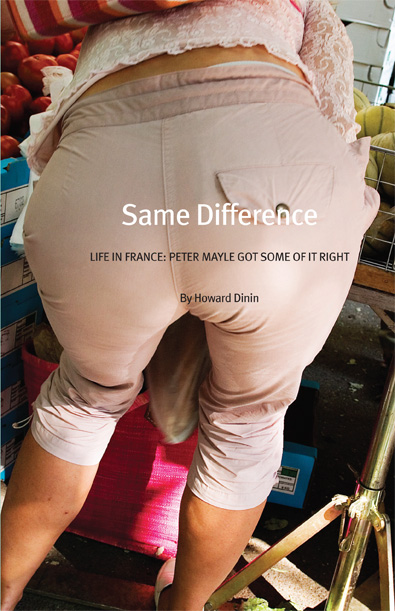 cover of Same Difference